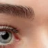 eyebrow transplantation banner
