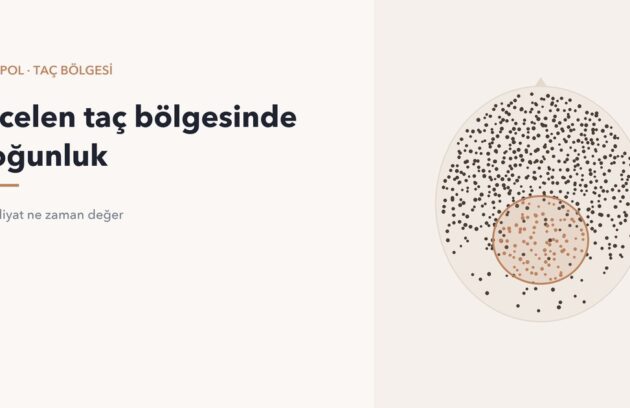 İncelen taç bölgesine yoğunluk için eklenen greftler