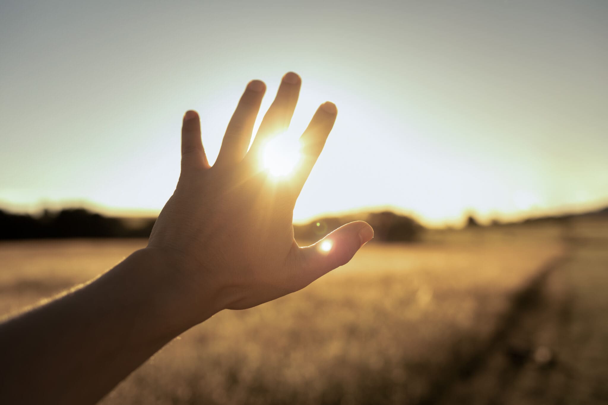 Strong summer sunlight over a beach, the main sun exposure risk after hair transplant surgery