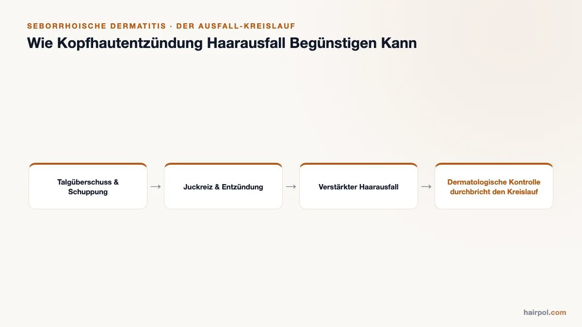 Diagramm, das zeigt, wie Talgüberschuss und Schuppung zu Juckreiz, Entzündung und verstärktem Haarausfall führen, unterbrochen durch dermatologische Kontrolle.