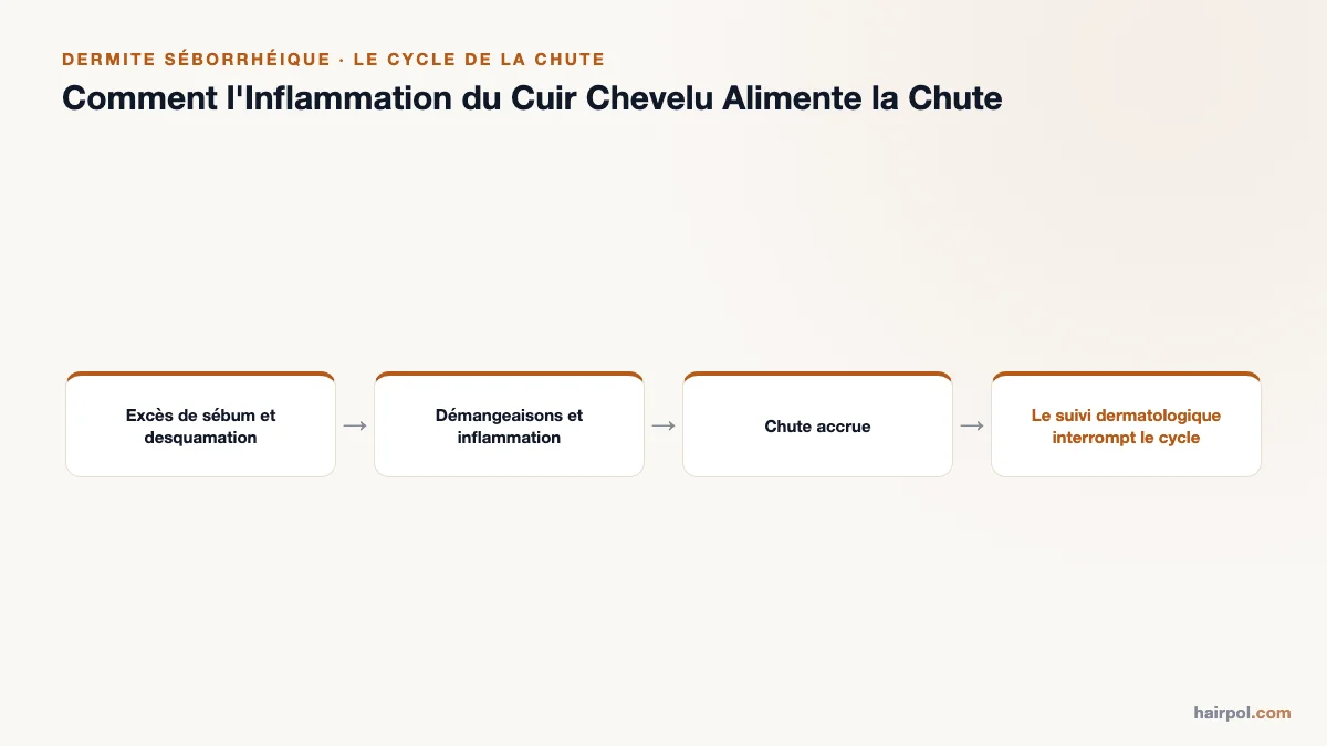 Schéma montrant comment l'excès de sébum et la desquamation entraînent démangeaisons, inflammation et chute accrue, interrompus par un suivi dermatologique.