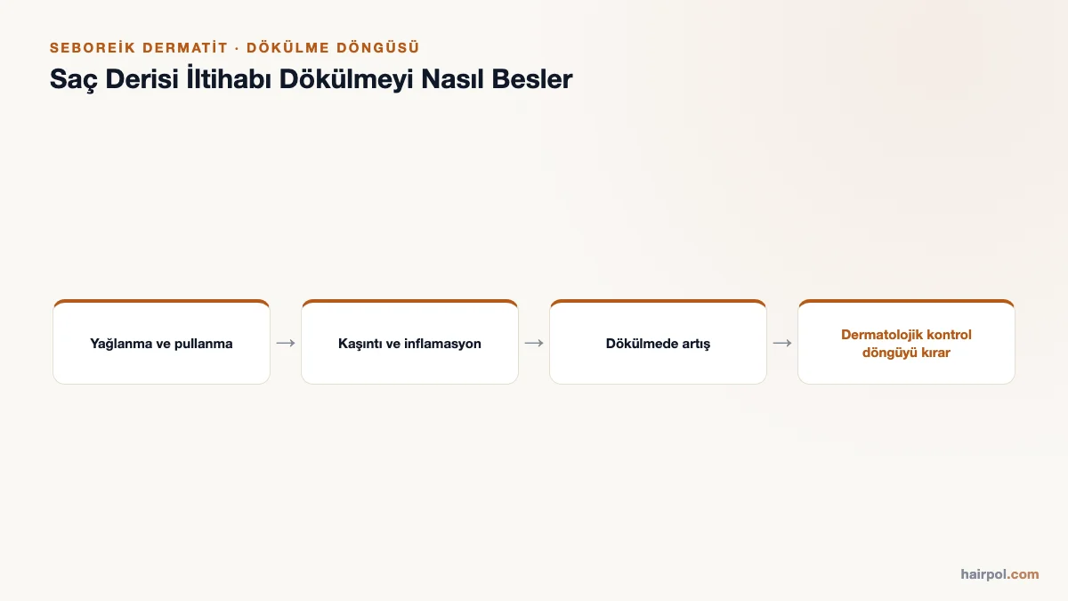 Yağlanma ve pullanmanın kaşıntı, inflamasyon ve dökülme artışına yol açtığını, dermatolojik kontrolle bu döngünün kırıldığını gösteren şema.
