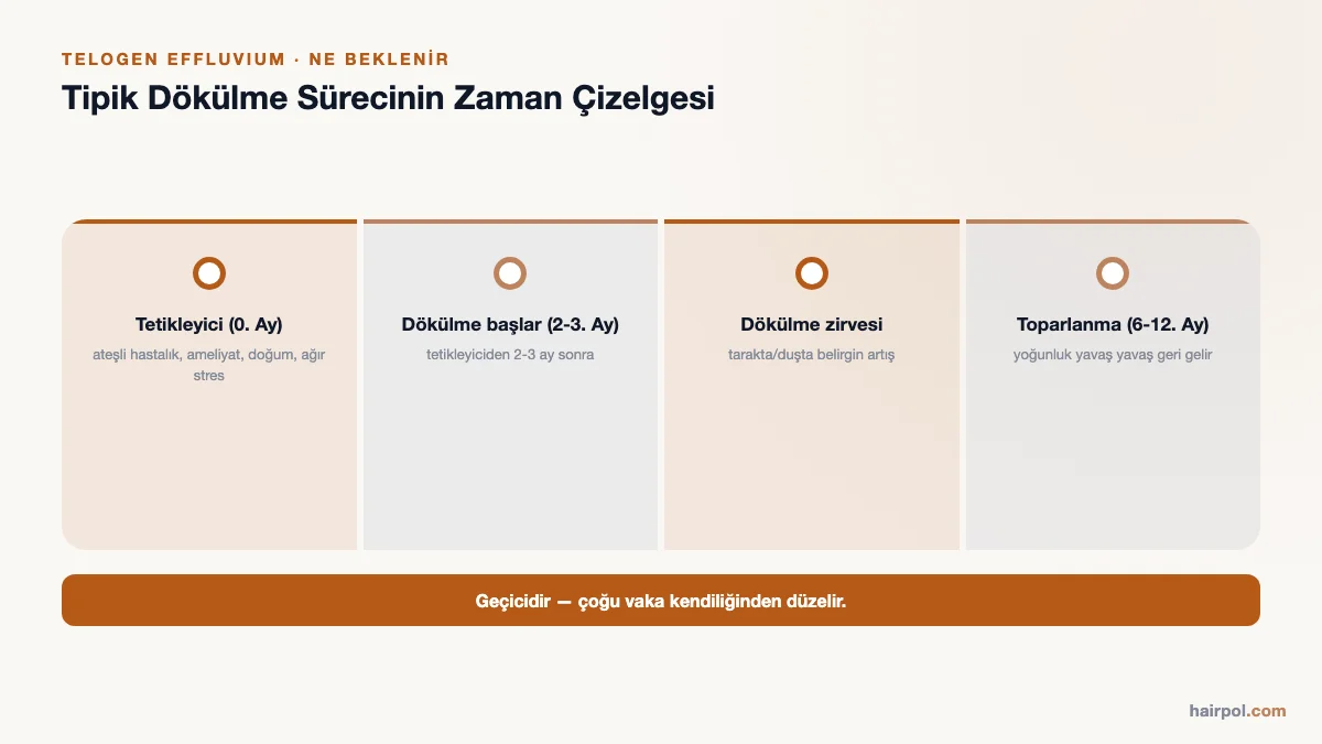 Telogen effluvium sürecinin zaman çizelgesi: 0. ayda tetikleyici, 2-3. ayda dökülme başlangıcı, zirve ve 6-12. ayda toparlanma.