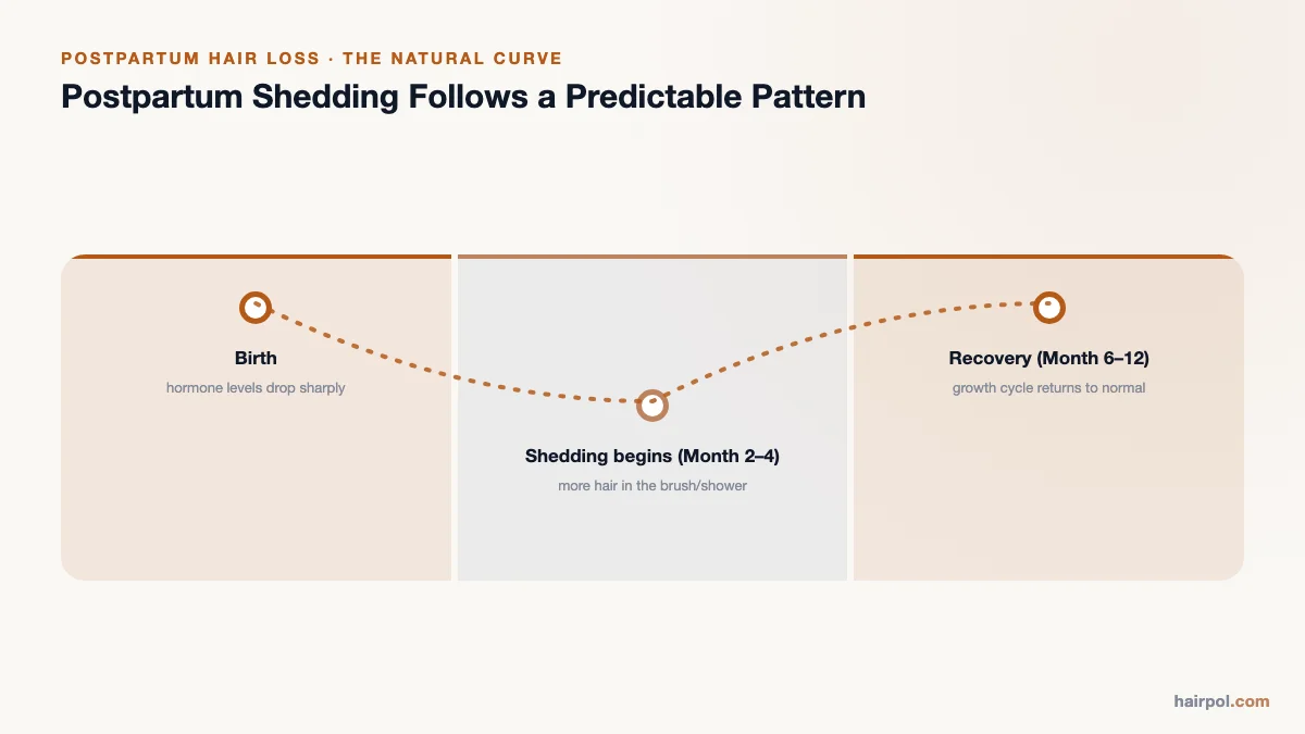 Timeline showing postpartum hair shedding: birth, shedding onset at month 2–4, recovery by month 6–12.