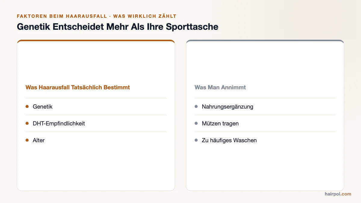 Zweispaltiger Vergleich: Was Haarausfall tatsächlich bestimmt (Genetik, DHT-Empfindlichkeit, Alter) versus was man annimmt (Nahrungsergänzung, Mützen, zu häufiges Waschen).