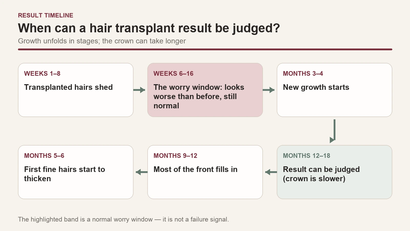 Timeline: shedding, worry window, first growth, front filling, result review at 12-18 months